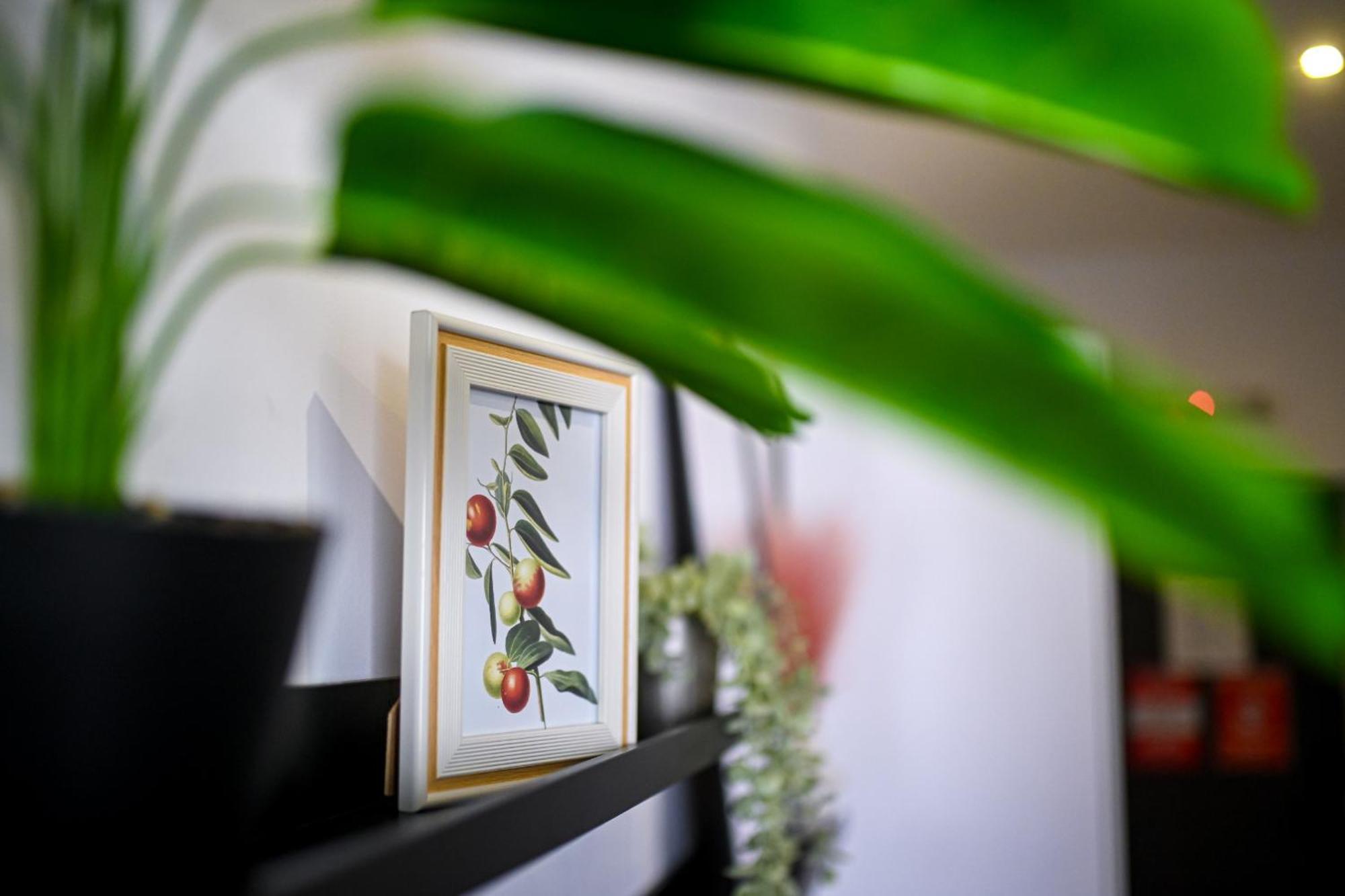 בוקרשט Urban Elegance - Stylish Central Accommodation חדר תמונה